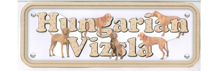 Hungarian Vizsla Hungarian Vizsla